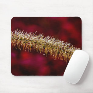 Morning Dew Mouse Pad