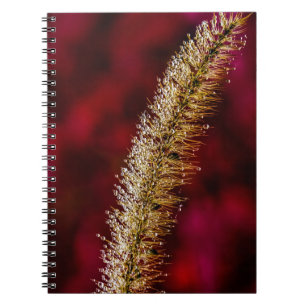 Morning Dew Notebook