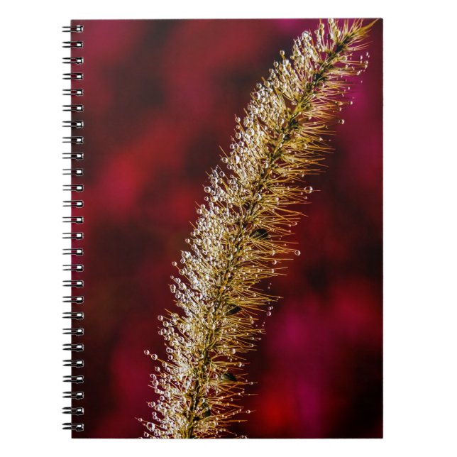 Morning Dew Notebook (Front)