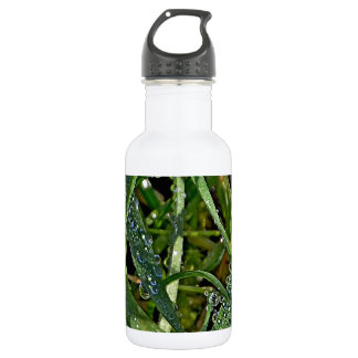 Morning dew on the grass 532 ml water bottle