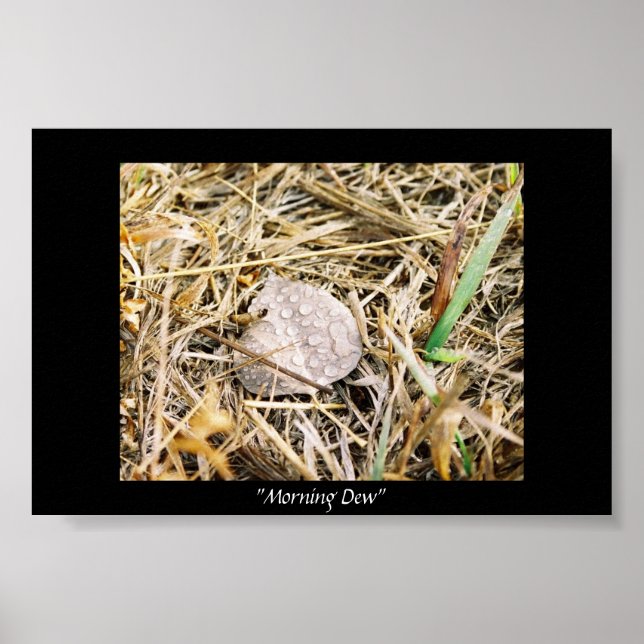 Morning Dew Poster (Front)