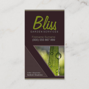 Morning Dew Stylish w/ Photo template Business Card
