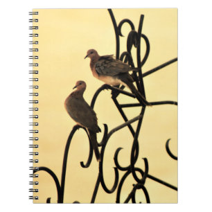 Morning Doves Notebook