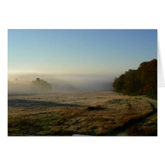 morning field