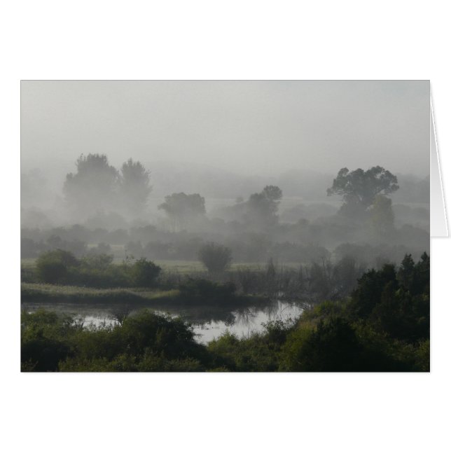 Morning Fog (Front Horizontal)