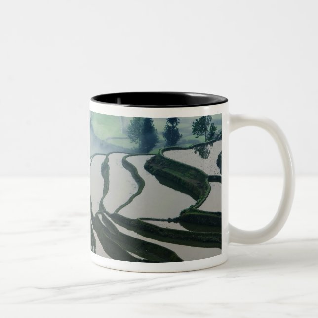Morning Fog Above Rice Fields Two-Tone Coffee Mug (Right)