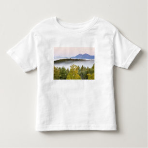 Morning fog and the Percy Peaks as seen from the Toddler T-Shirt