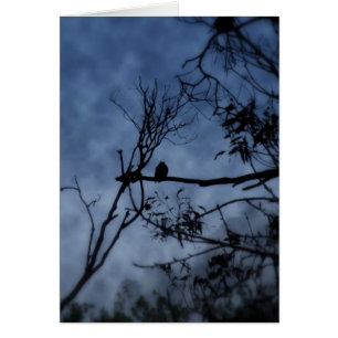 Morning Fog Bird on Branches Card