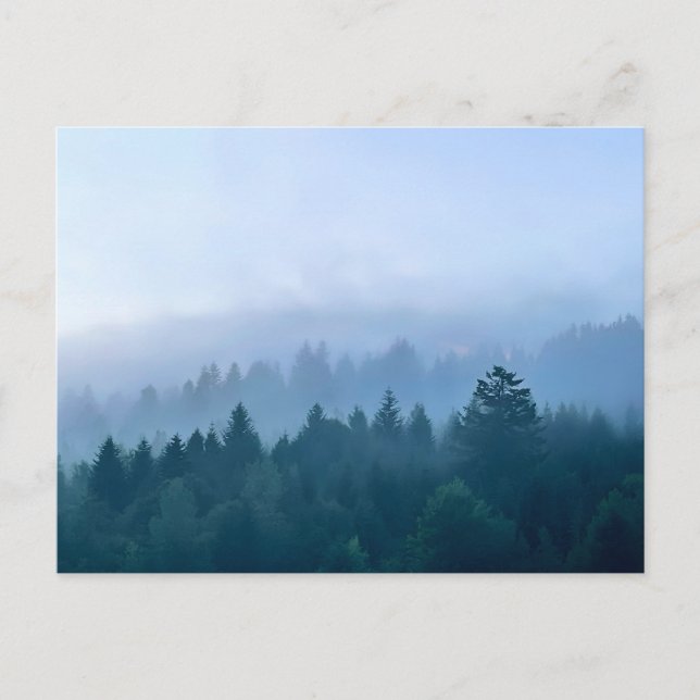 Morning fog envelops forest landscape in mountains postcard (Front)