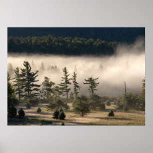 Morning Fog in the Adirondacks 4 Poster