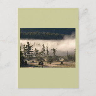 Morning Fog in the Adirondacks Postcard