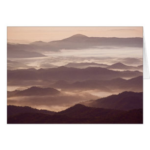 Morning fog in the southern Appalachian