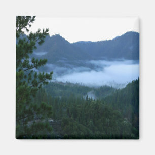 Morning fog.... magnet