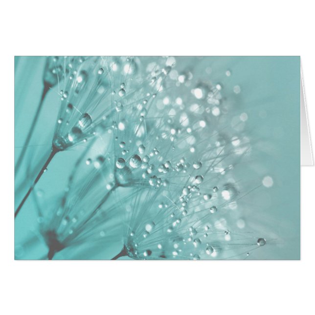 Morning Freshness (Front Horizontal)