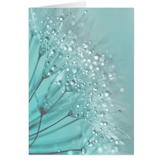 Morning Freshness (Front)