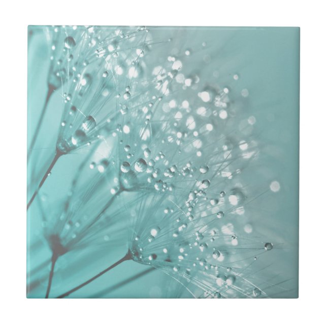 Morning Freshness Tile (Front)