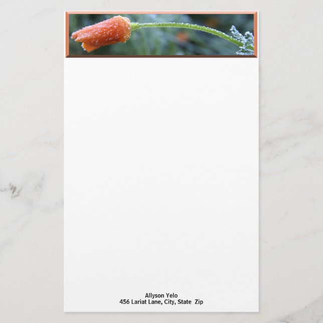Morning Frost California Poppy Photo Custom Stationery (Front)