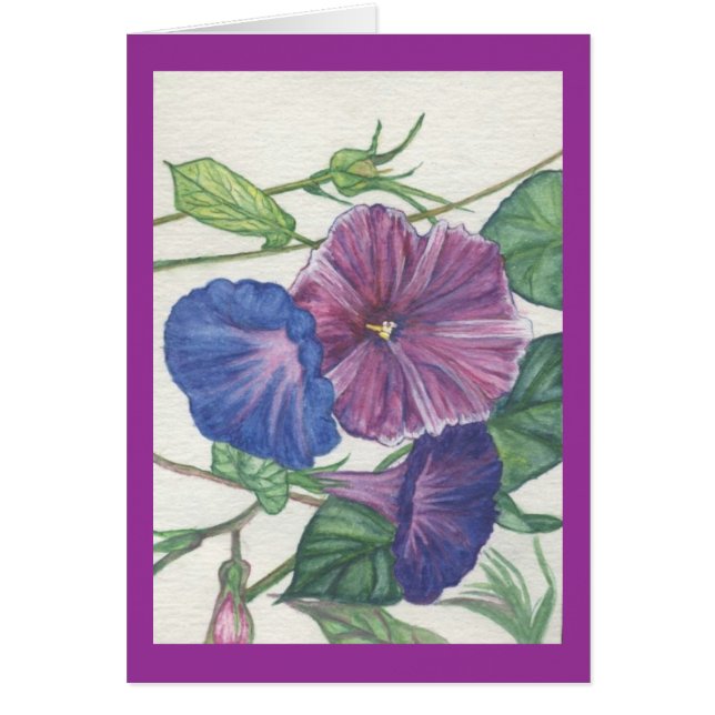 morning glories (Front)