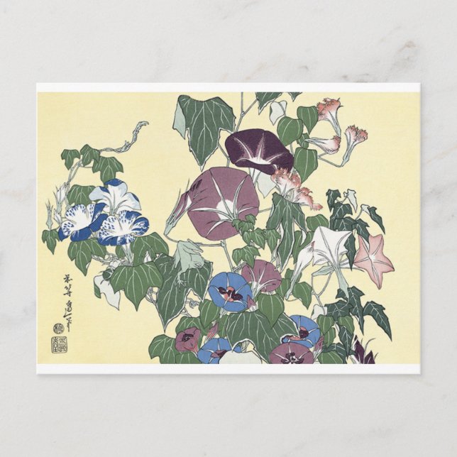 Morning Glories and Grog Postcard (Front)