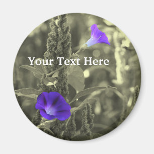 Morning Glories Black And White Flower Magnet