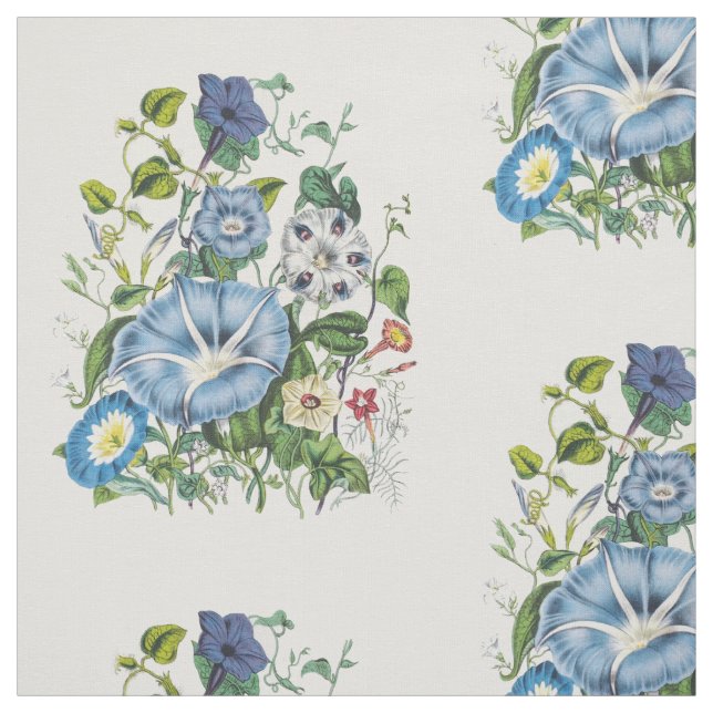 Morning Glories Fabric (Swatch)