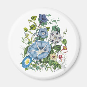 Morning Glories Magnet