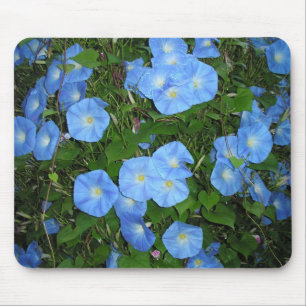 Morning Glories! Mouse Pad