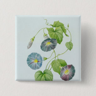 Morning Glory 15 Cm Square Badge