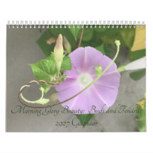 Morning Glory Beauty: Buds and Tendrils 2027