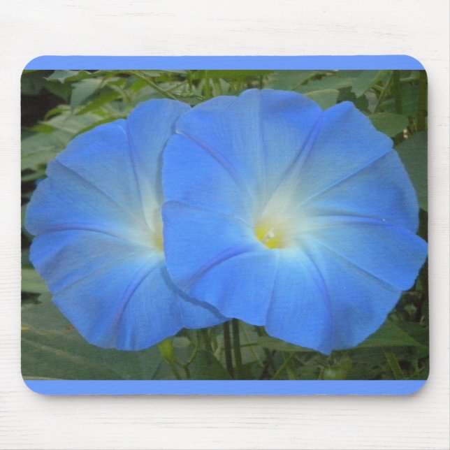 Morning Glory Duo Mousepad (Front)