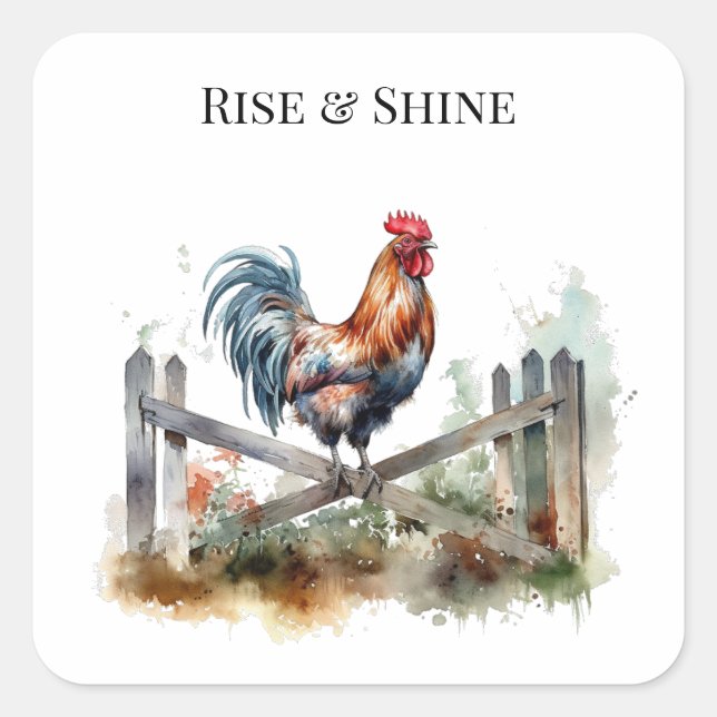 Morning Glory: Eatercolor Rooster, custom Square Sticker (Front)