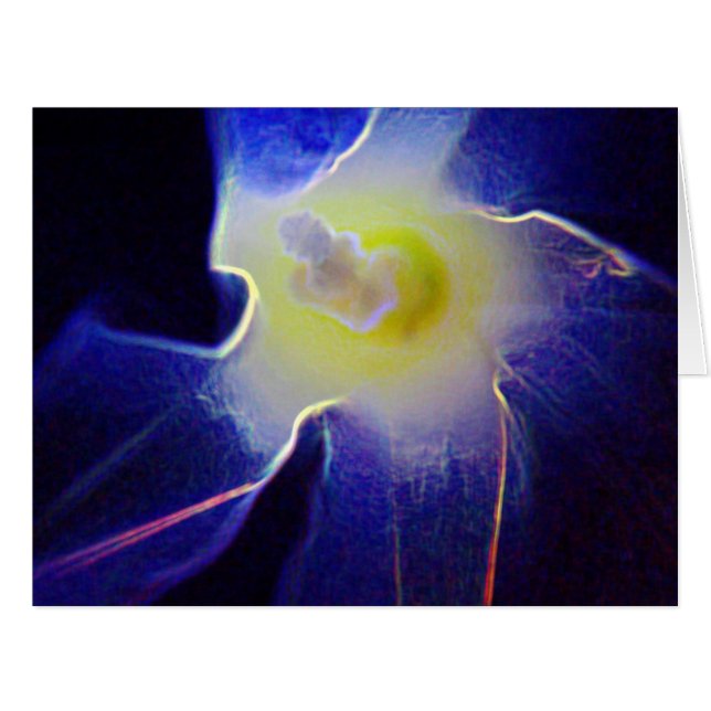 Morning Glory Flower 3 (Front Horizontal)