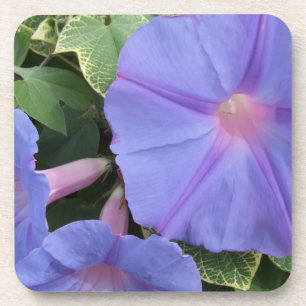 Morning Glory Flower Coasters