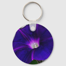 Morning Glory Flower