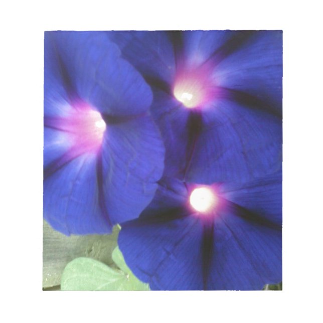 Morning Glory Flower Memo Notepad (Front)