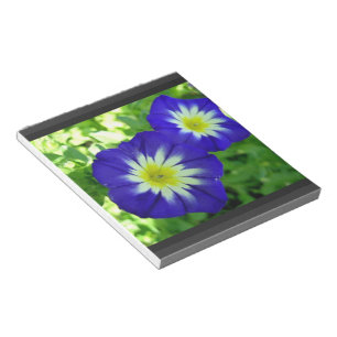Morning Glory Flower Notepad