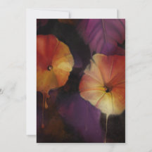 Morning Glory Flowers 