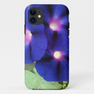 Morning Glory Flowers iPhone 5 Cover