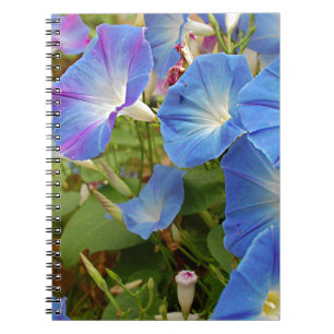 Morning Glory Flowers Notebook