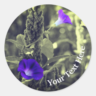 Morning Glory Flowers Personalised Classic Round Sticker