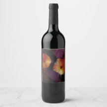 Morning Glory Flowers 