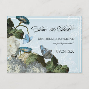 Morning Glory Hydrangea -  Save the Date Postcard