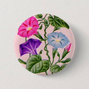 morning glory in blue and pink 6 cm round badge
