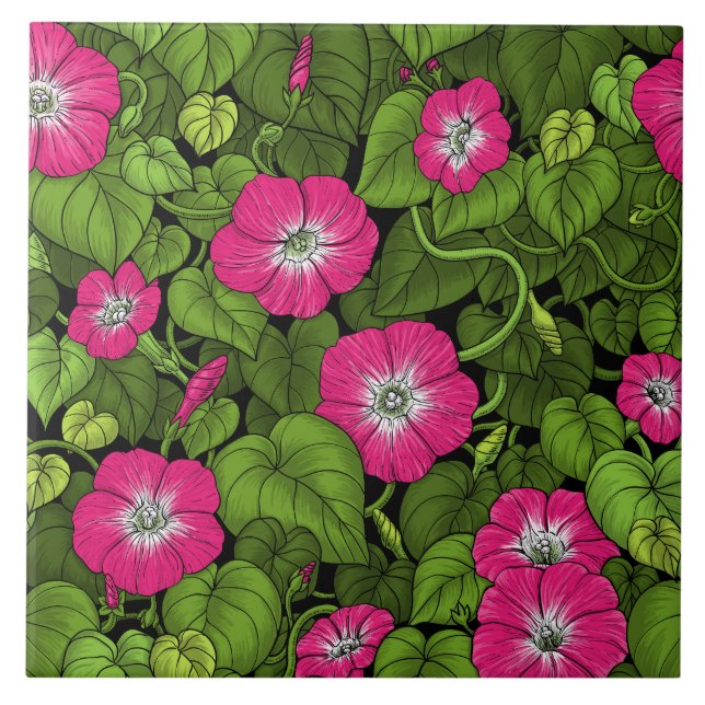 Morning glory in pink and green ceramic tile (Front)