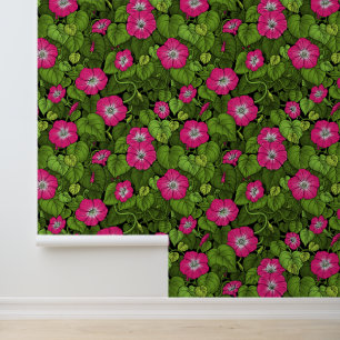 Morning glory in pink and green wallpaper