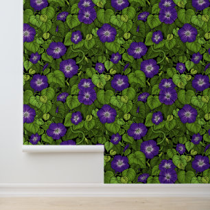 Morning glory in purple and green wallpaper