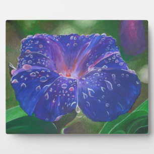 Morning Glory (Ipomoea Purpurea) Petals and Dew Dr Plaque