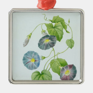 Morning Glory Metal Ornament