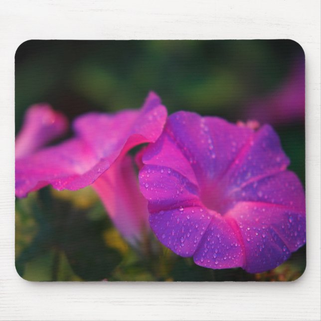 Morning Glory Mousepad (Front)