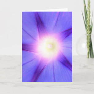 Morning Glory note card
